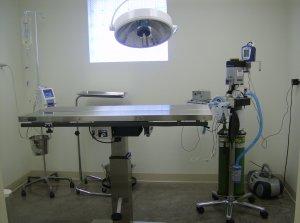 Our clean, well-equipped surgery area, complete with monitoring equipment and its own ventilation system to help with surgery sterility